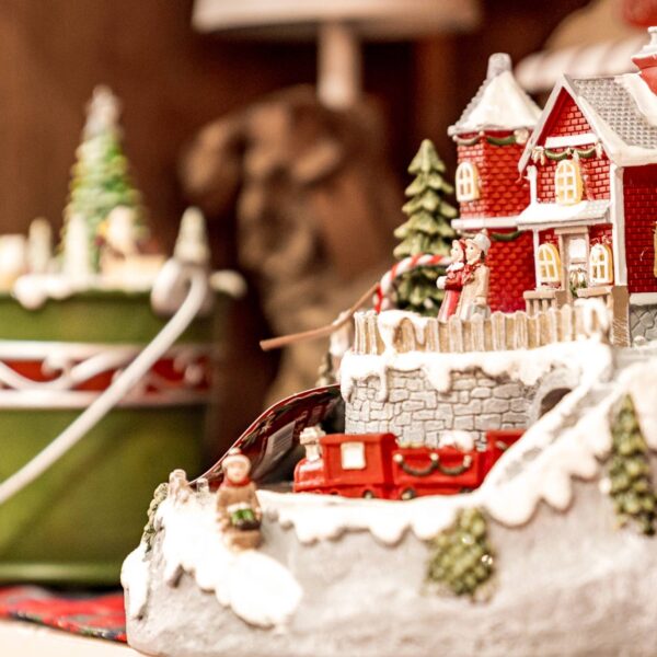 photo_14_2025-11-07_18-19-35