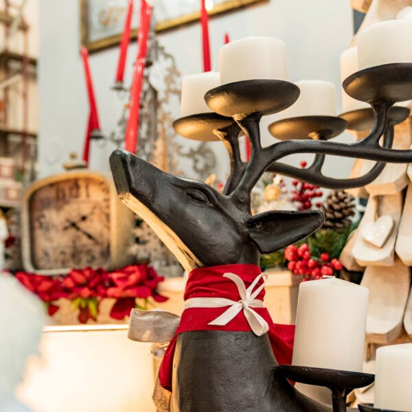 photo_16_2025-11-07_18-19-35