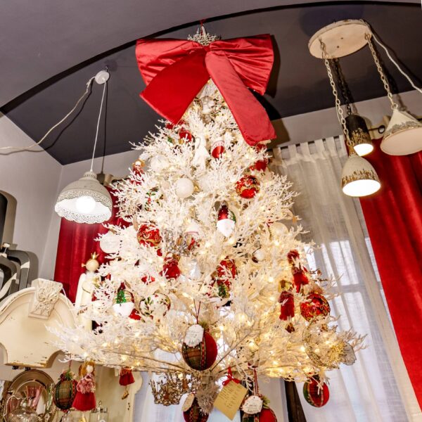 photo_30_2025-11-07_18-19-35